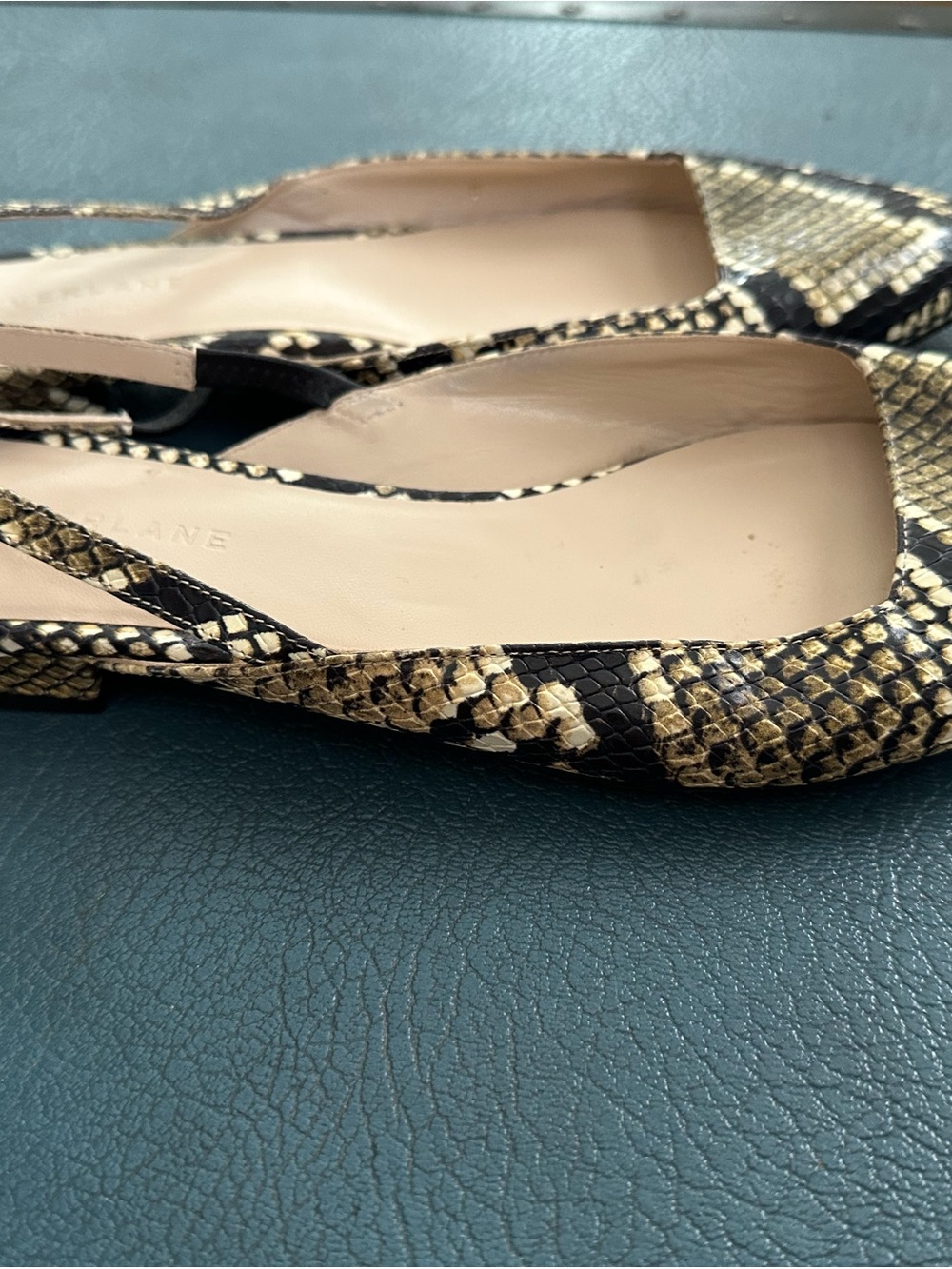 Everlane Snake-Print Ballet Flats in Black and Gold-Tone